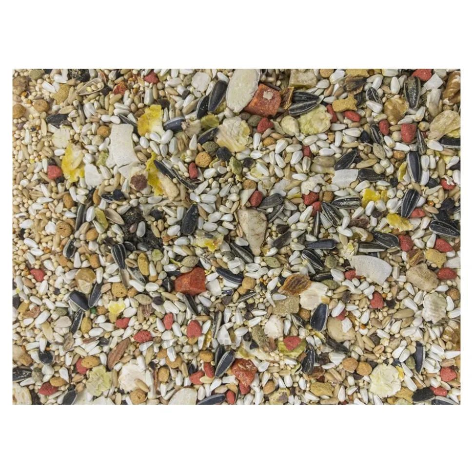 Higgins Sunburst Gourmet Blend Conure Bird Food 3-lb