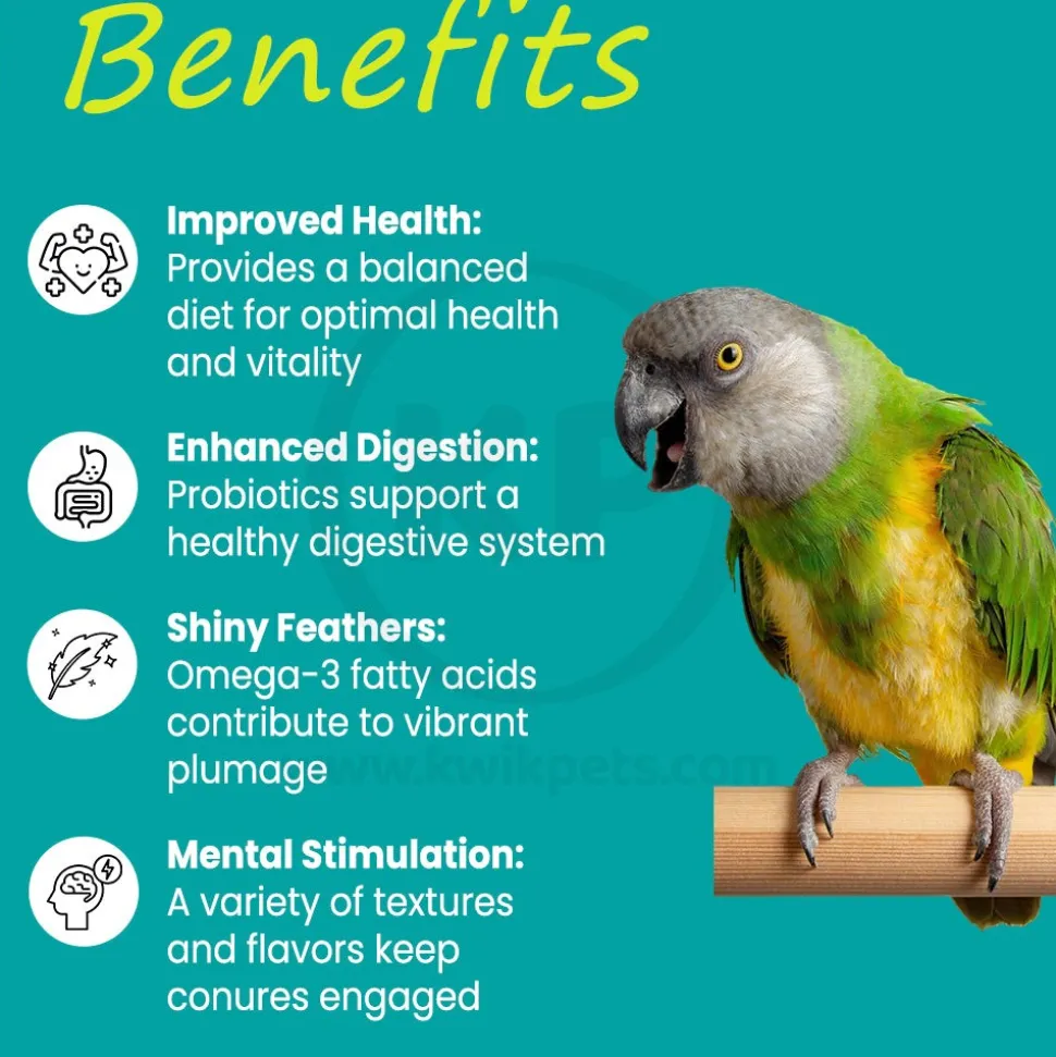 Higgins Sunburst Gourmet Blend Conure Bird Food 3-lb