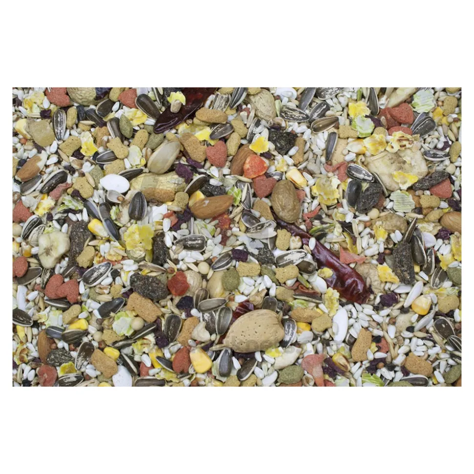 Higgins Sunburst Gourmet Blend Parrot Bird Food 3-lb