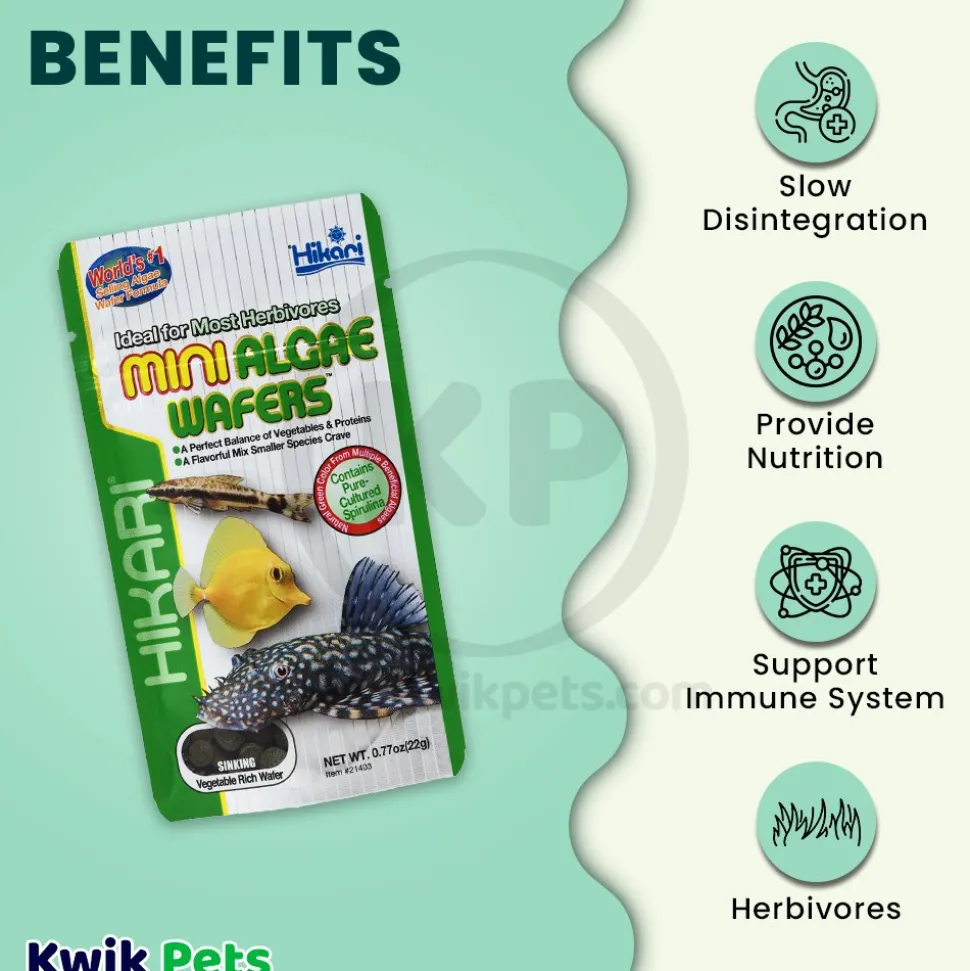 Hikari USA Mini Algae Wafers Sinking Fish Food 0.77-oz