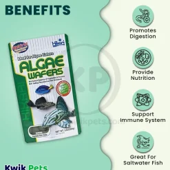Hikari USA Rapidly Sinking Algae Wafers Fish Food 8.8-oz