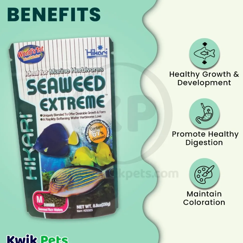 Hikari USA Seaweed Extreme Wafer Medium Sinking Fish Food 8.8-oz
