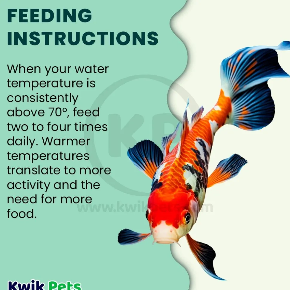 Hikari USA Spirulina Color-Enhancing Floating Mini Pellets Fish Food for Koi 17.6-oz