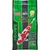 Hikari USA Staple Growth Formula Medium Pellet Fish Food for Koi and Pond 4.4-lb