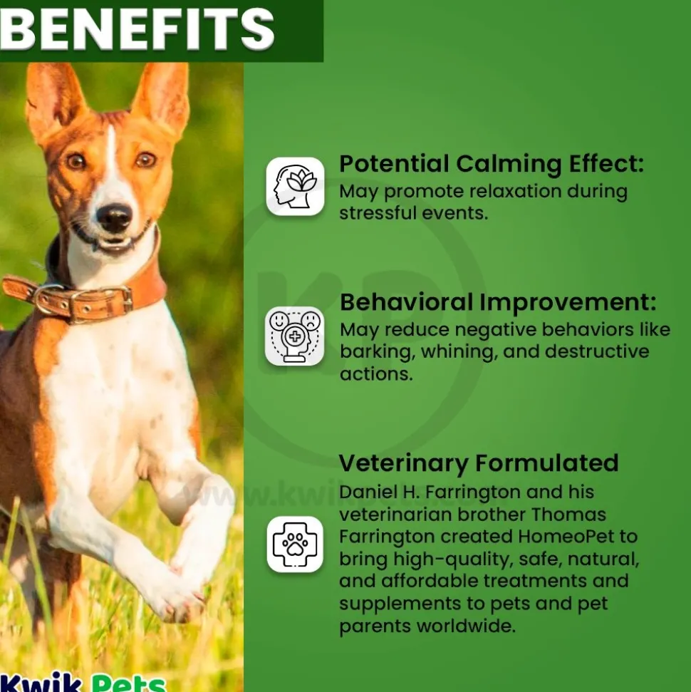 HomeoPet Anxiety Relief Calming Supplements for All Pets 15 ml