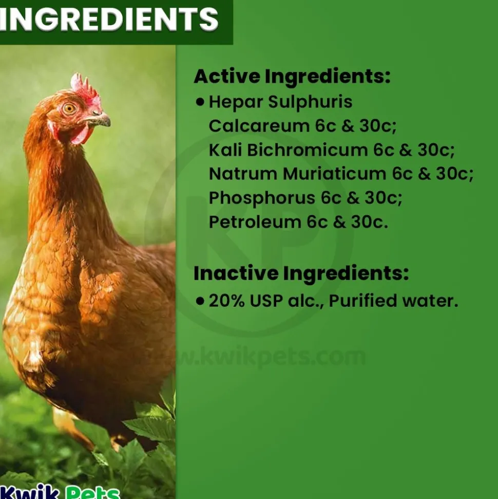 HomeoPet Avian Nose Relief Supplement for Birds 15 ml