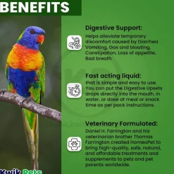 HomeoPet Digestive Upsets Supplement for All Pets 15 ml