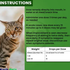 HomeoPet Feline Digestive Upsets Supplement 15 ml