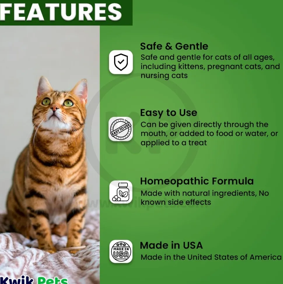 HomeoPet Feline Digestive Upsets Supplement 15 ml