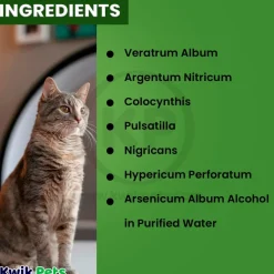 HomeoPet Feline Digestive Upsets Supplement 15 ml