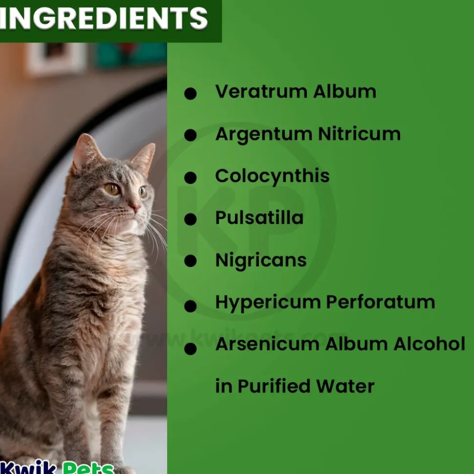 HomeoPet Feline Digestive Upsets Supplement 15 ml