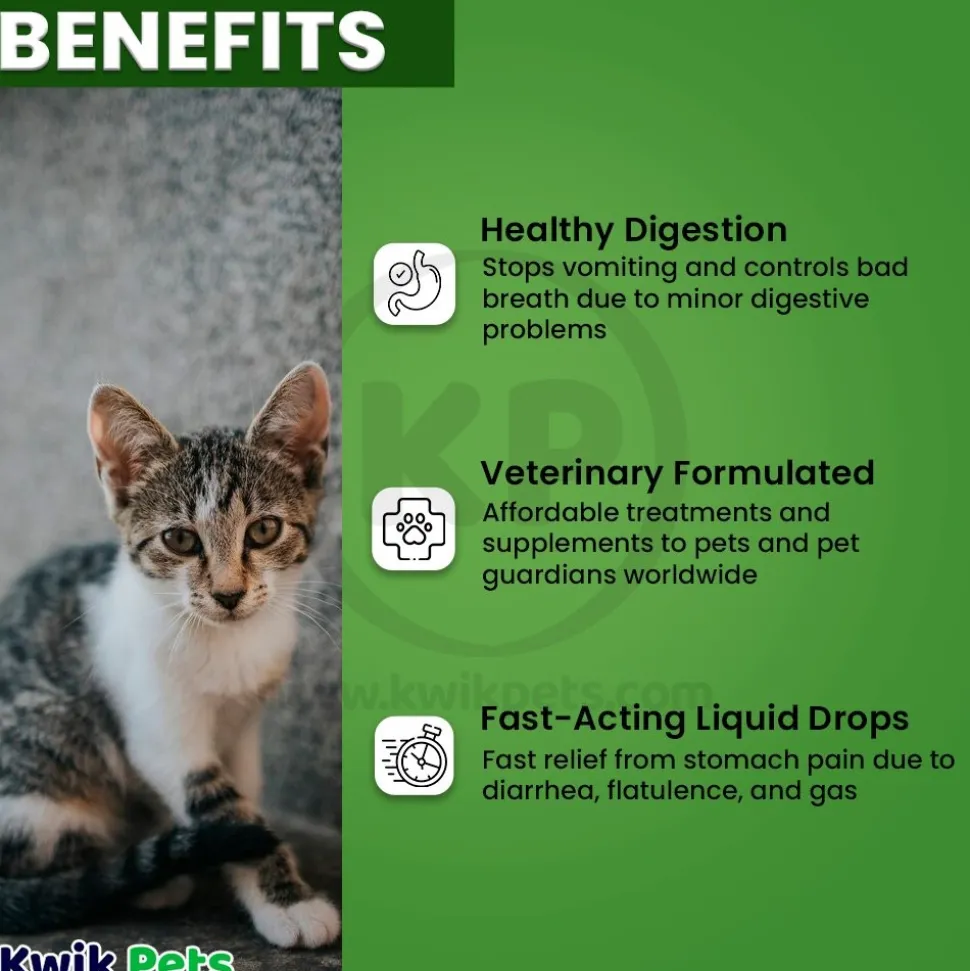HomeoPet Feline Digestive Upsets Supplement 15 ml