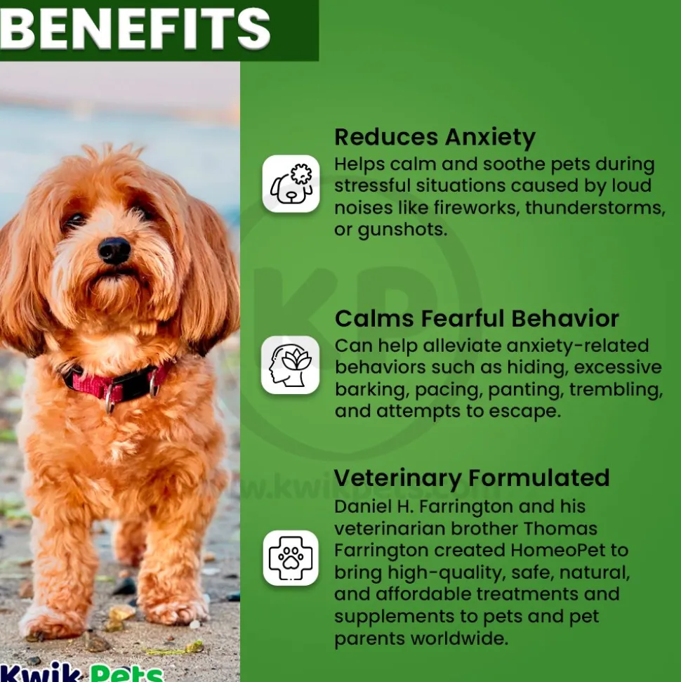 HomeoPet Fireworks Anxiety Supplement for All Pets 15 ml
