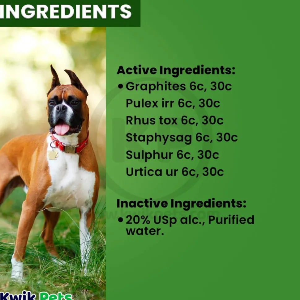 HomeoPet Skin & Itch Relief Supplement for All Pets 15 ml