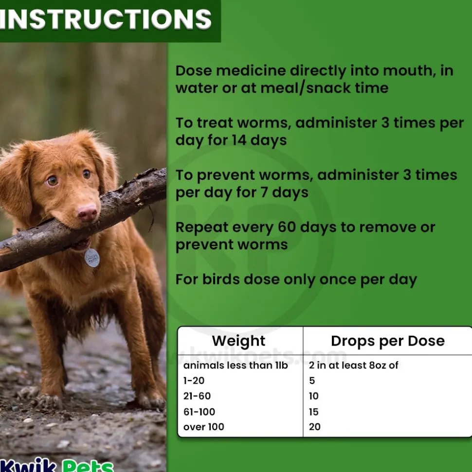 HomeoPet WRM Clear Dewormer for All Pets 15 ml