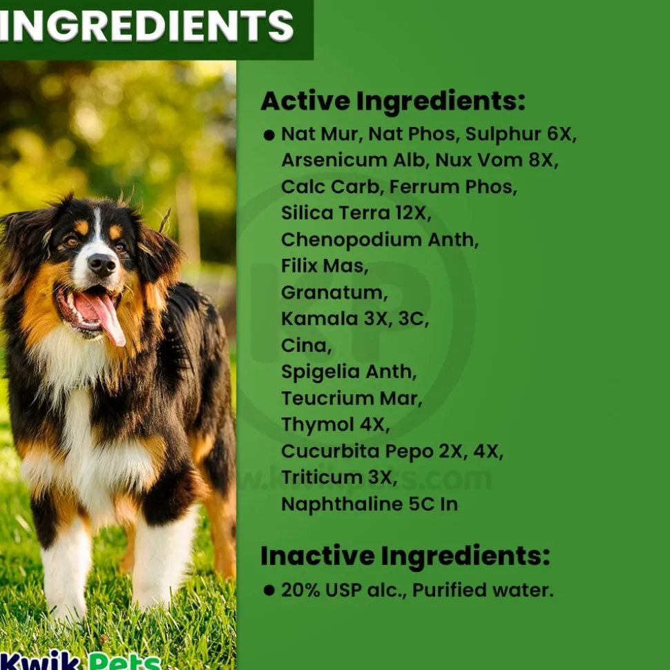 HomeoPet WRM Clear Dewormer for All Pets 15 ml