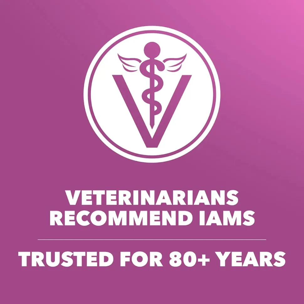 IAMS Mature Adult Large Breed Senior Dry Dog Food Chicken 30-lb