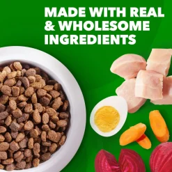 IAMS Minichunks Small Kibble High Protein Adult Dry Dog Food Real Chicken 15-lb