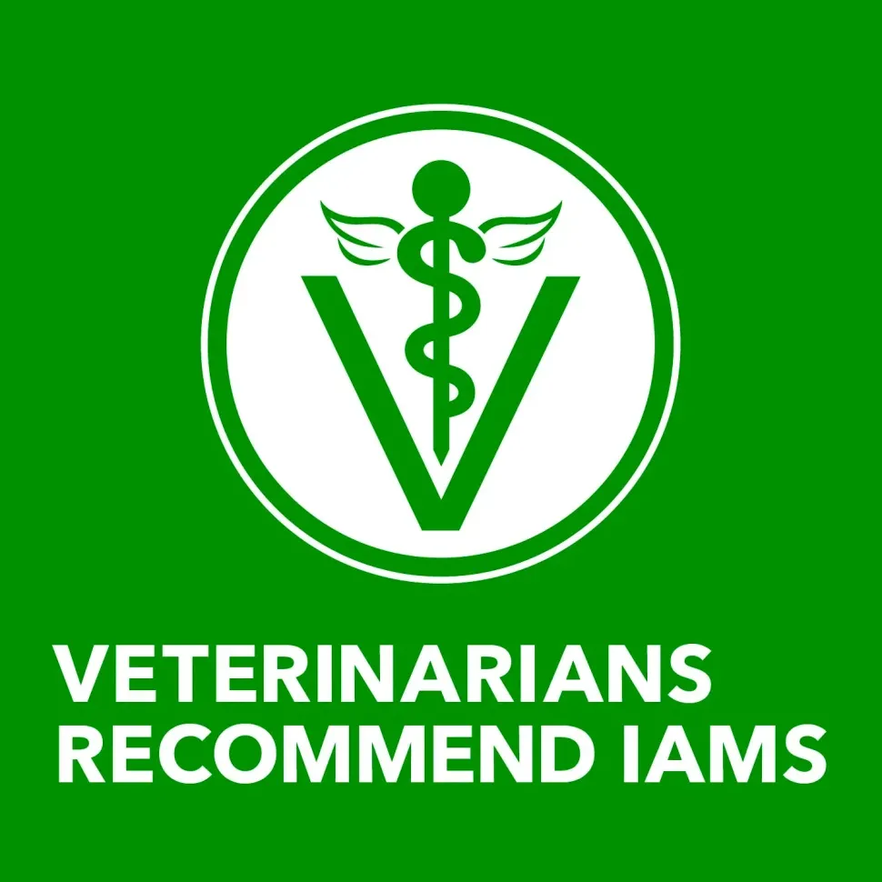 IAMS Proactive Health Adult Wet Dog Food Pate with Chicken & Rice 6 Count 13-oz