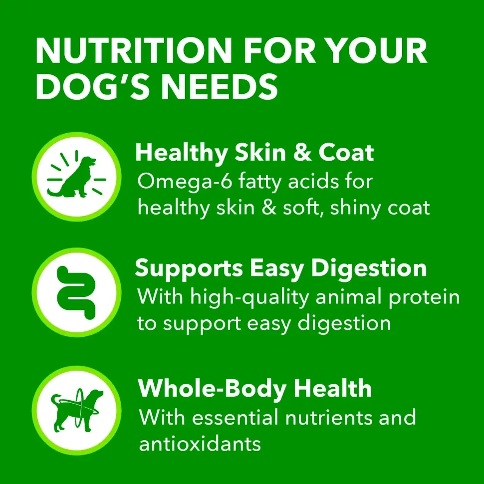 IAMS Proactive Health Adult Wet Dog Food Pate with Chicken & Rice 6 Count 13-oz