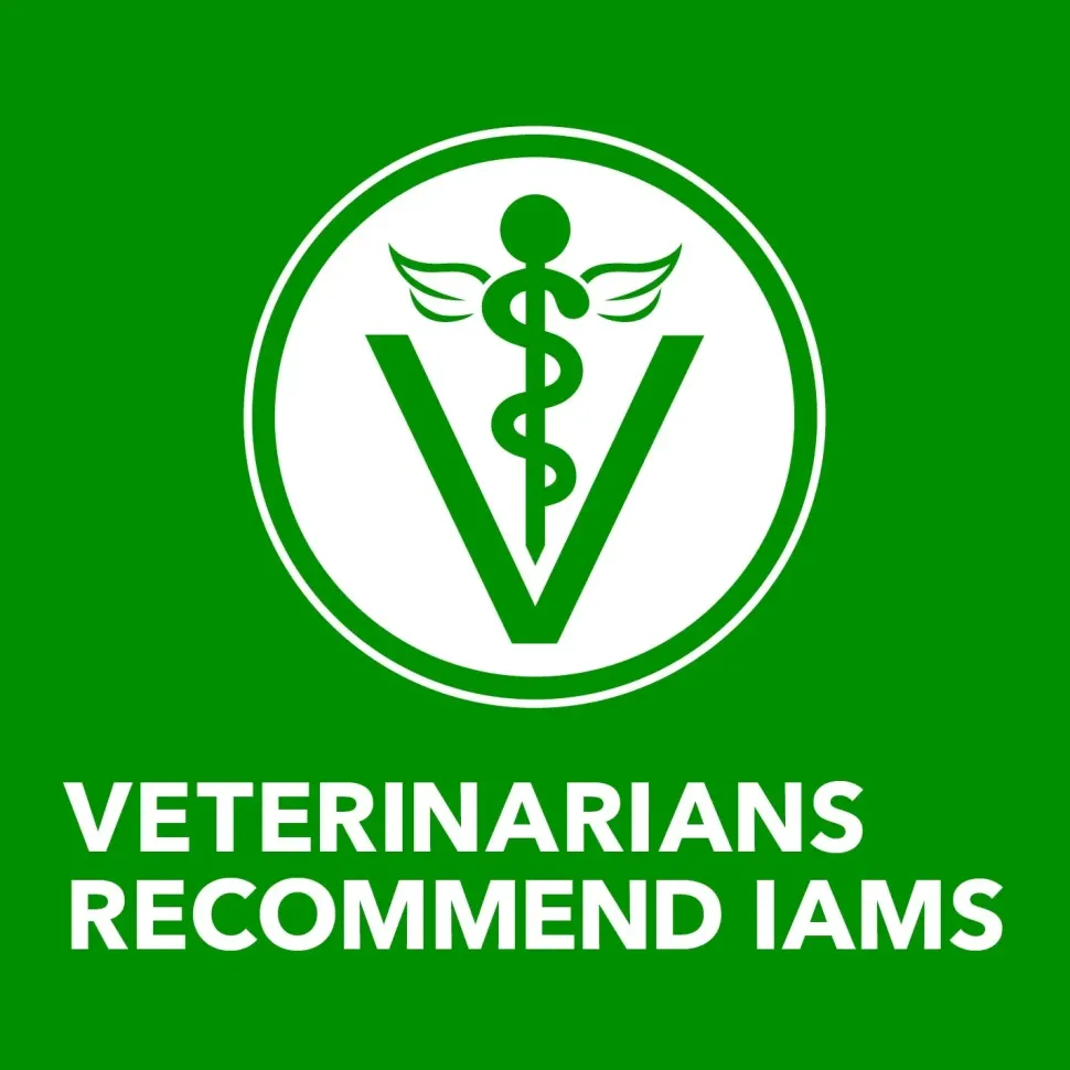IAMS Proactive Health Adult Wet Dog Food Pate with Lamb & Rice 6 Count 13-oz