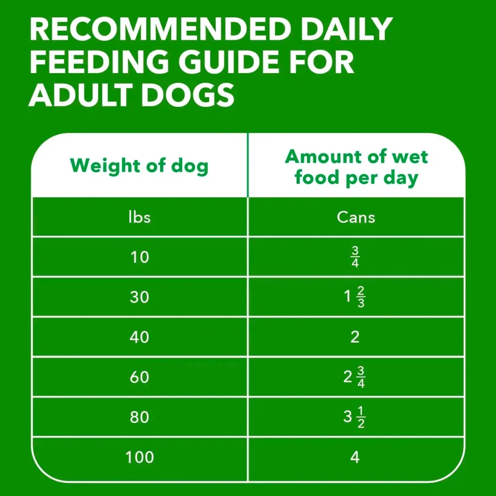 IAMS Proactive Health Adult Wet Dog Food Pate with Lamb & Rice 6 Count 13-oz