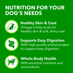 IAMS Proactive Health Adult Wet Dog Food Pate with Lamb & Rice 6 Count 13-oz