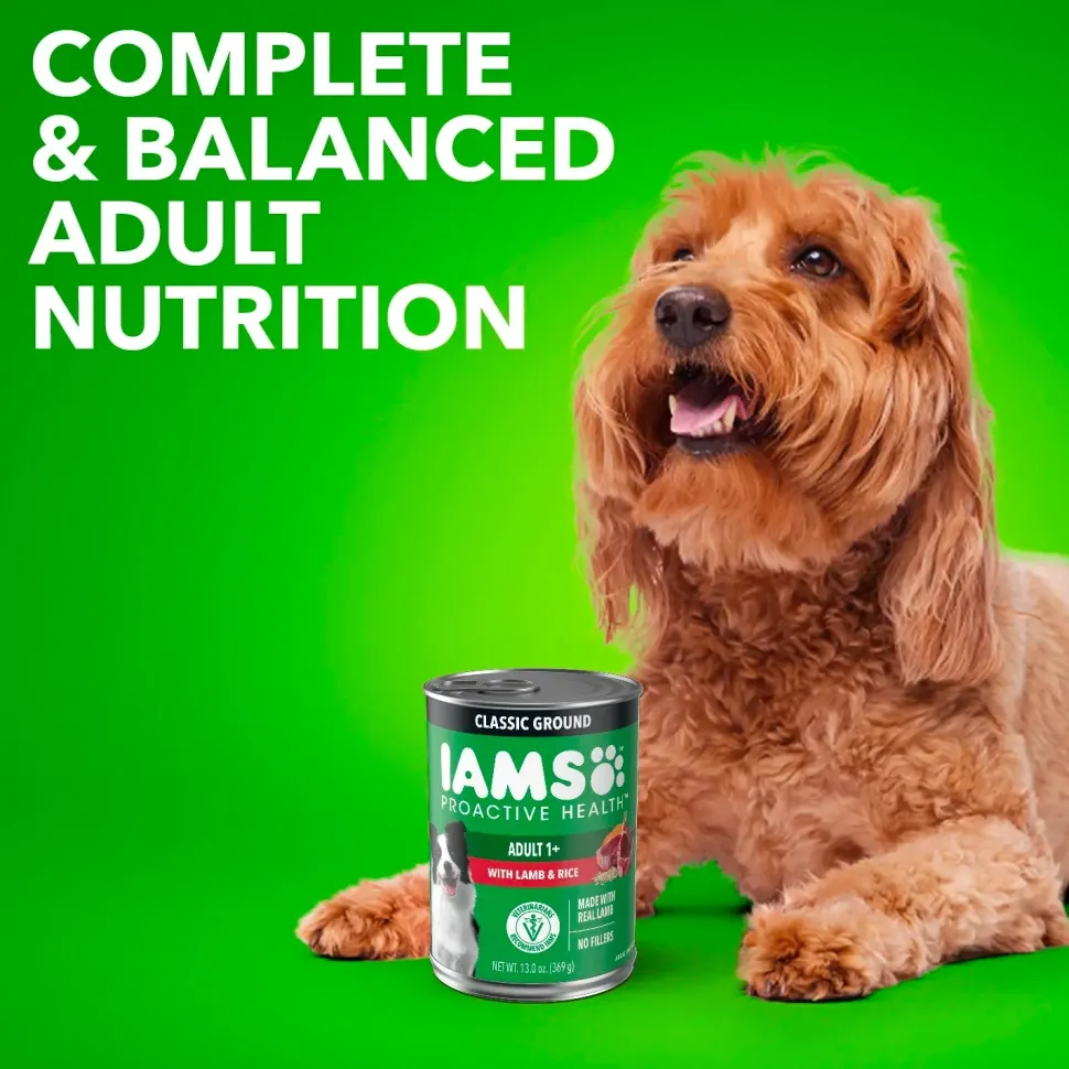 IAMS Proactive Health Adult Wet Dog Food Pate with Lamb & Rice 6 Count 13-oz