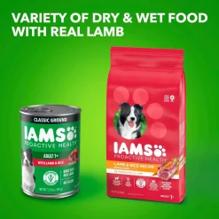 IAMS Proactive Health Adult Wet Dog Food Pate with Lamb & Rice 6 Count 13-oz