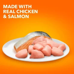 IAMS ProActive Health Healthy Enjoyment Adult Dry Cat Food Chicken & Salmon 6-lb