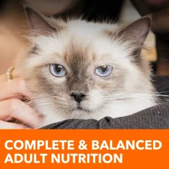 IAMS ProActive Health Healthy Enjoyment Adult Dry Cat Food Chicken & Salmon 6-lb