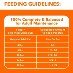 IAMS ProActive Health Healthy Enjoyment Adult Dry Cat Food Chicken & Salmon 6-lb