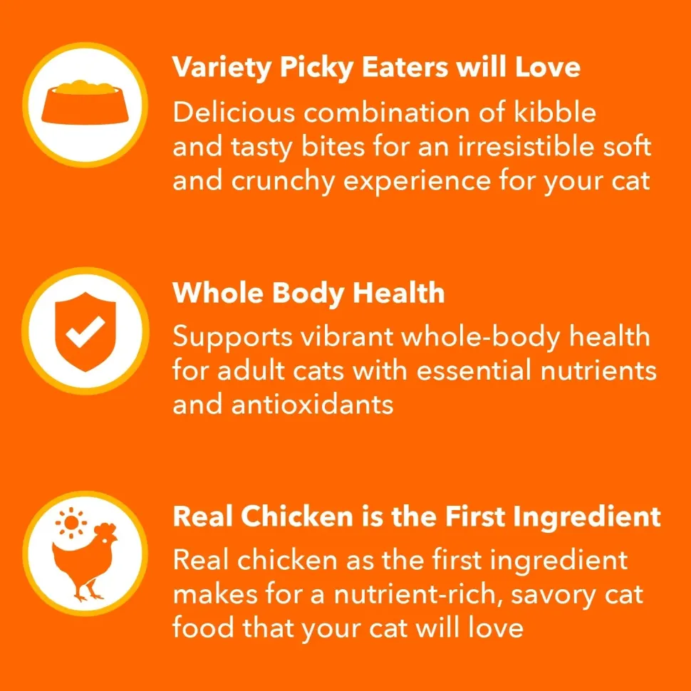 IAMS ProActive Health Healthy Enjoyment Adult Dry Cat Food Chicken & Salmon 6-lb