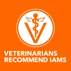IAMS ProActive Health Healthy Enjoyment Adult Dry Cat Food Chicken & Salmon 6-lb