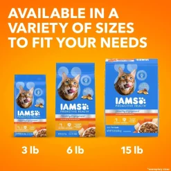 IAMS ProActive Health Healthy Enjoyment Adult Dry Cat Food Chicken & Salmon 6-lb