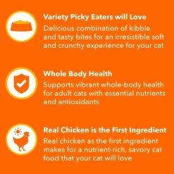 IAMS ProActive Health Healthy Enjoyment Adult Dry Cat Food Chicken & Salmon 3-lb