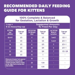 IAMS Proactive Health Kitten Dry Cat Food Chicken 7-lb