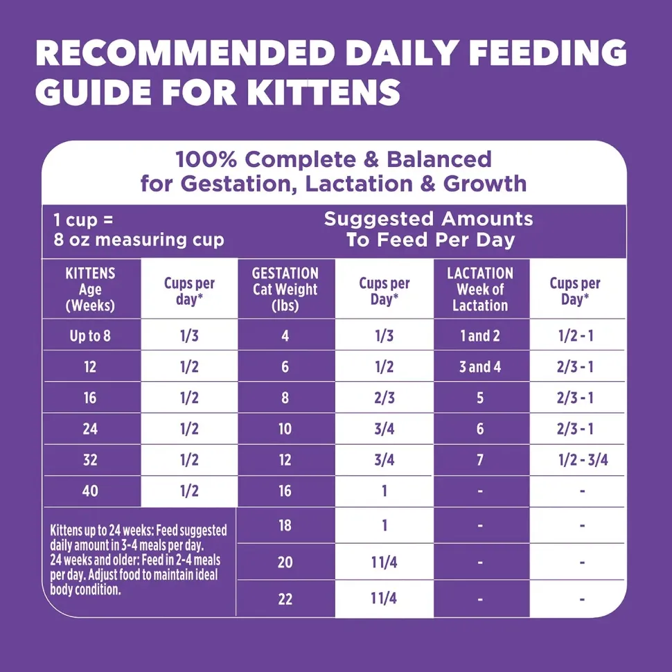 IAMS Proactive Health Kitten Dry Cat Food Chicken 3.5-lb