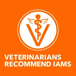 IAMS Proactive Health Senior Dry Cat Food Chicken 7-lb