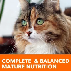 IAMS Proactive Health Senior Dry Cat Food Chicken 7-lb