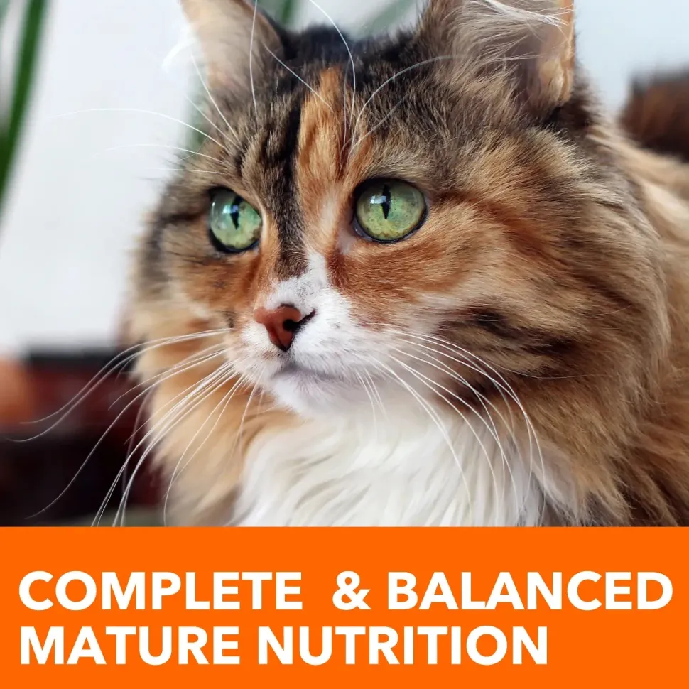 IAMS Proactive Health Senior Dry Cat Food Chicken 7-lb