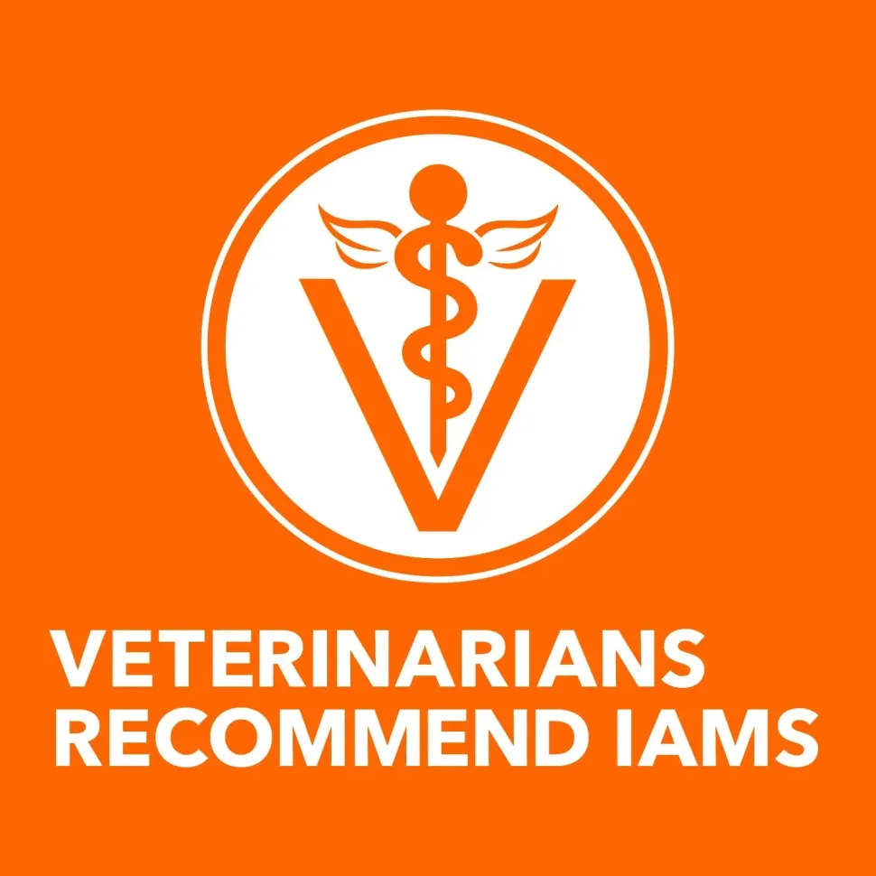 IAMS Proactive Health Senior Dry Cat Food Chicken 16-lb
