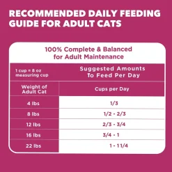 IAMS Proactive Health Urinary Tract Health Adult Dry Cat Food Chicken 3.5-lb