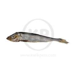 Icelandic+ Herring Whole Fish Dog Treats 3-oz