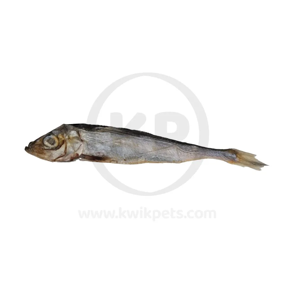 Icelandic+ Herring Whole Fish Dog Treats 3-oz