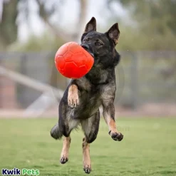 Jolly Pet Soccer Ball Boxed Dog Toy Orange Large 8-in
