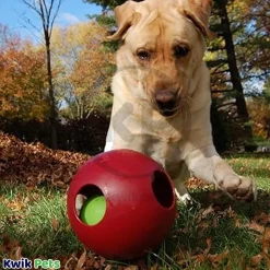 Jolly Pet Teaser Ball Dog Toy Red Large 8-in