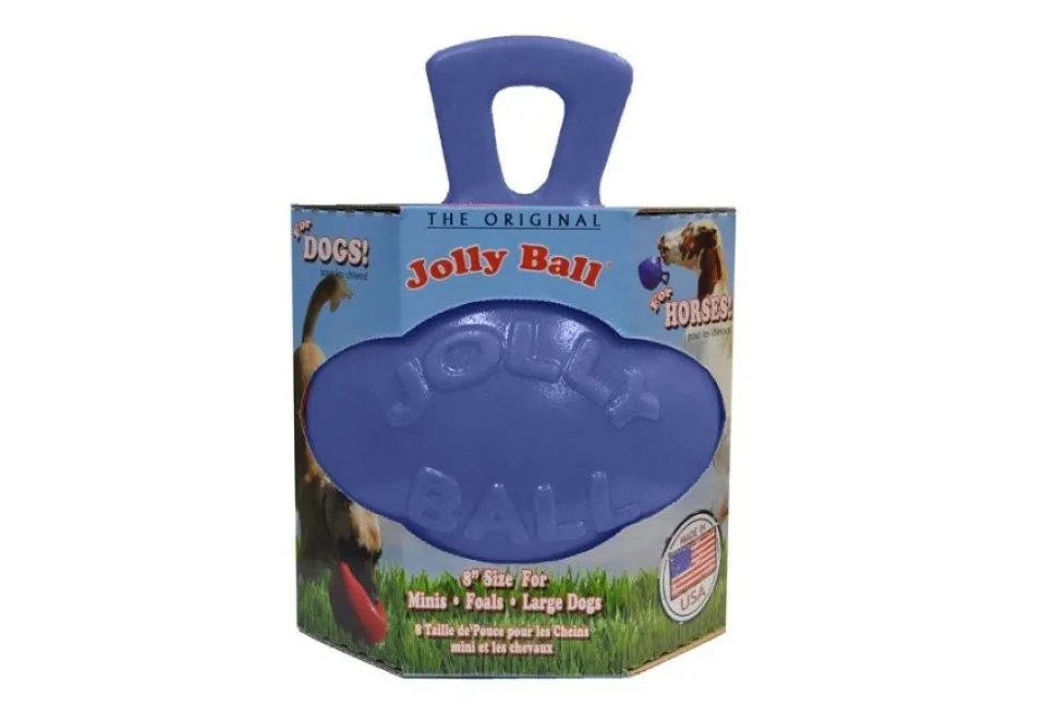 Jolly Pet Tug-n-Toss Dog Toy Blue Large 8-in