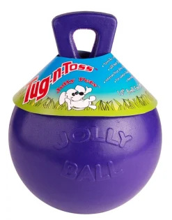 Jolly Pet Tug-n-Toss Dog Toy Purple Medium 6-in