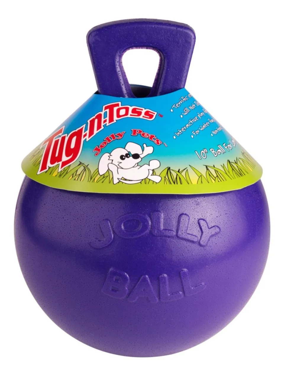 Jolly Pet Tug-n-Toss Dog Toy Purple Medium 6-in
